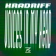 Voices in My Head Single