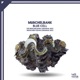 Muschelbank Single