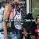 Delaware to Detriot Flow Single