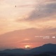 go for now Single