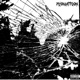 Shattered Reflections