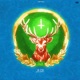 Jege Single