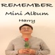 REMEMBER Single