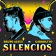 Silencios Single