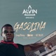 Gasolina feat Hot Blaze Hernani Laylizzy Single