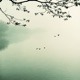 Forgetting time Single