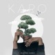 Karo feat Mj Sings Single