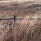 something old Single