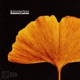 Autumn Leaves Single