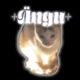Ängu Single