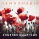 Soñando Amapolas Single