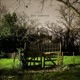 Dos Cuentos Single