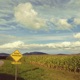 Where The Road Narrows Single