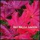 Red Maple Leaves Single