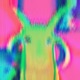 Chaos Chaos Hyperpop Remix Single