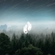 Skyfall Single