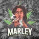 Marley 2017 Single