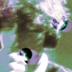 2good4u feat zaywxlk Single