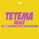 Tetema feat Pitbull Mohombi Jeon Diamond Platnumz Remix Single