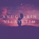 Avuçların Vilayetim Single