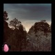 summer showers Single