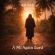 A Mi Again Lord Single