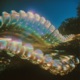 Macro Plastic Single