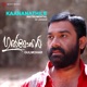 Kaananathile Instrumental Single