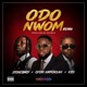 Odo Nwom Single