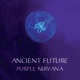 Purple Nirvana feat Matthew Montfort Mariah Parker EP