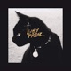 Bitter Taste feat Kaien Cruz Single
