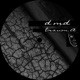 Traum A Single