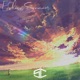 Endless Summer Single