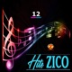 Hite Zico 12
