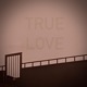 True Love feat BUMPDOWNBK3 Single
