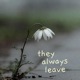 They Always Leave Single