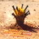 House Magic Single