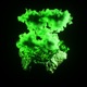 Shape Shifter EP