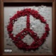 Peace Single