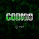 Codigo Single