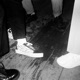 Playaringtone EP