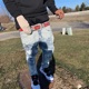 Runtz Single