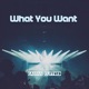 What You Want feat Glorynade Single