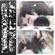 No Light Shows Through No Sound Escapes EP