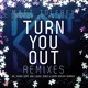 Turn You out Remixes feat Ya Kid K Single