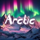 Arctic Single
