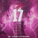 17 Single
