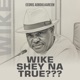 Wike Shey Na True Single