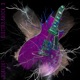 Electro Shock Vol 3
