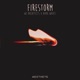 Firestorm feat Aark Waves Single